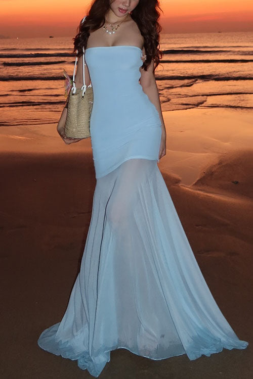 Trixiedress Strapless Mesh Splice Bodycon Maxi Dress