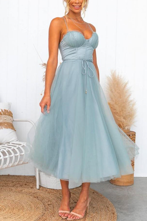 Trixiedress Adjustable Spaghetti Strap Backless Mesh Maxi Party Dress